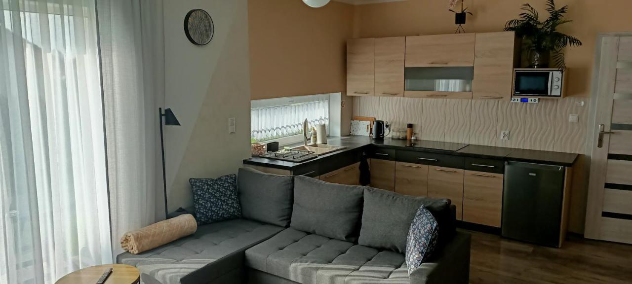 Apartamenty Modrzewiowe Tarasy ホイニツェ エクステリア 写真